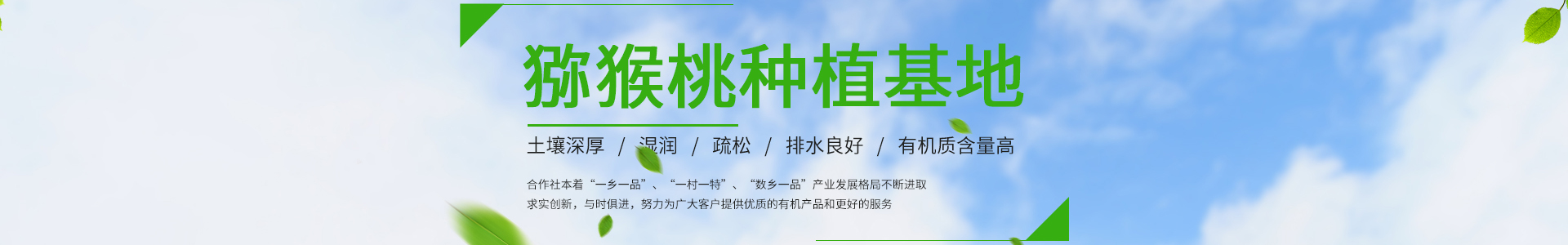 太阳成集团tyc9728(中国)股份有限公司